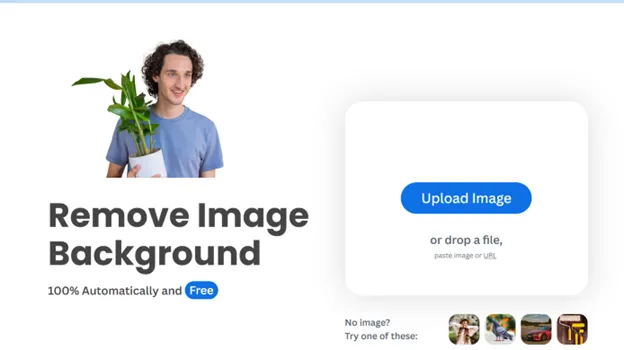 حذف بکگراند عکس با کیفیت بالا